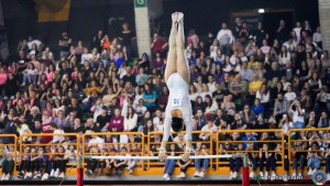 serie a1 ph simone ferraro sfa06000 copia